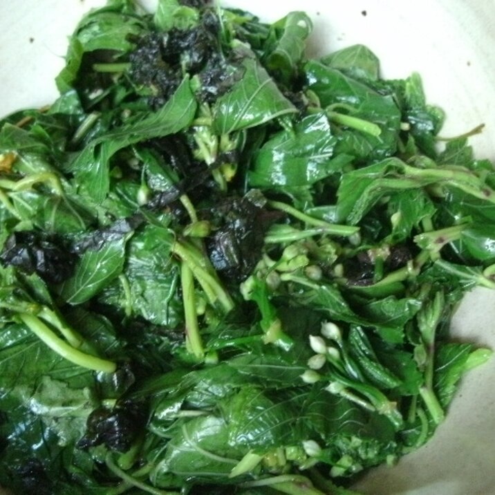 モロヘイヤのしそニラ花和え レシピ 作り方 By 和土 楽天レシピ モロヘイヤのしそニラ花和え レシピ 作り方 By 和土 楽天レシピ